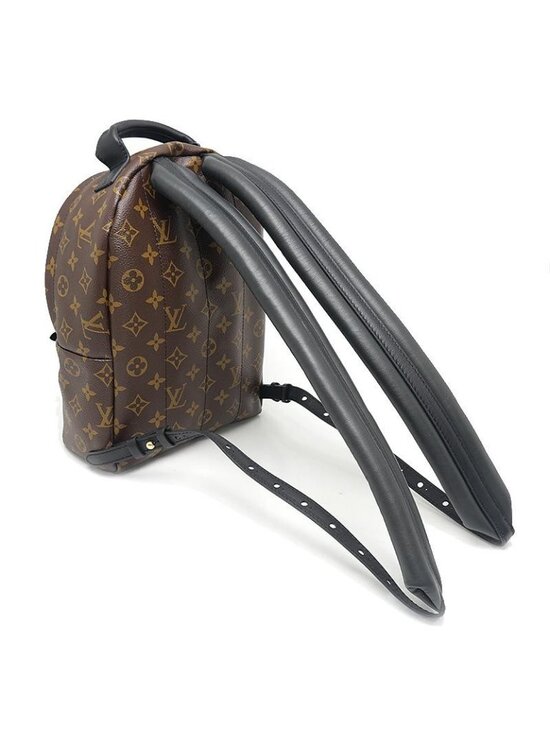 Louis Vuitton Monogram Palm Springs Backpack PM main image 7